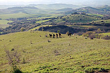 Italy-Tuscany-Explorer Rides in Tuscany